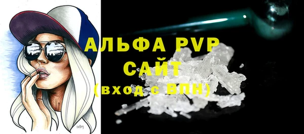 шишки Сатка