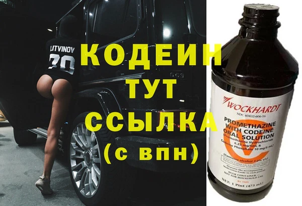 шишки Сатка